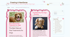 Desktop Screenshot of creatinganewsense.com